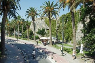 kos road palm trees