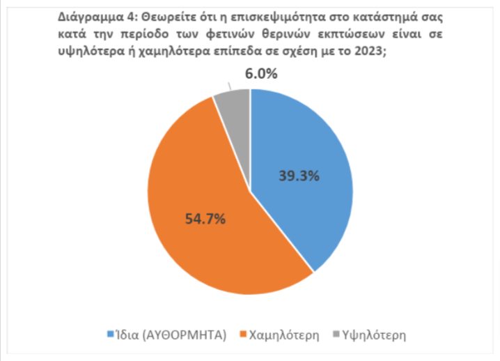 Δ Τ ΙΝΕΜΥ ΕΣΕΕ Αποτελέσματα Θερινών Εκπτώσεων 2024 docx Έγγραφα Google2