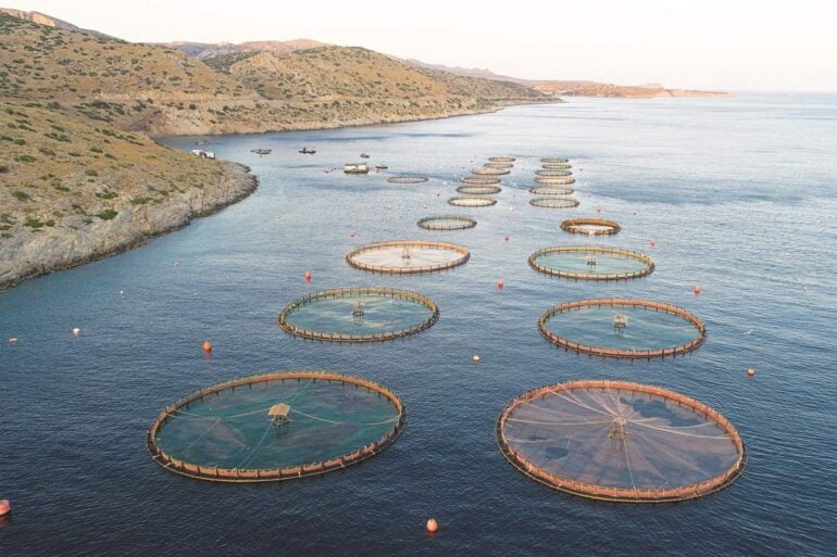 Aqua Bridge: Επίσημη επιβεβαίωση για την εξαγορά της Avramar